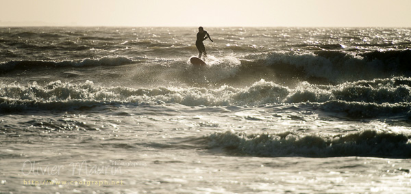 session surf